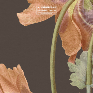 美国免费一级毛片
