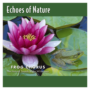 美国免费一级毛片
